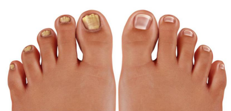 1661517560843810.png 1661517560843810.png